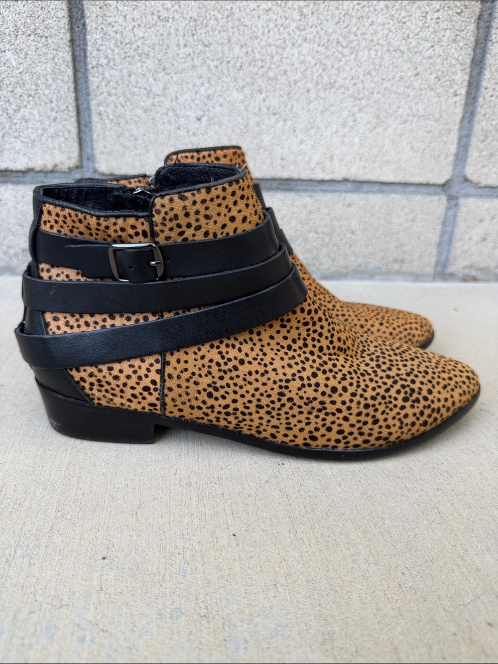 Yosi Samra Kate Cheetah Pony Hair Ankle Boots with Black Straps